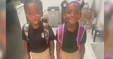 Tragjedi në SHBA, 31-vjeçarja vret dy fëmijët e saj, më pas kryen vetëvrasje