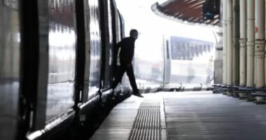 Ishte nisur për në Strasburg, treni me anëtaret e Parlamentit Europian përfundon në Disneyland