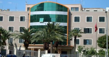 Punonjësi humbi jetën duke prerë degët e një peme, arrestohen drejtori i firmës dhe shoferi i vinçit në Durrës