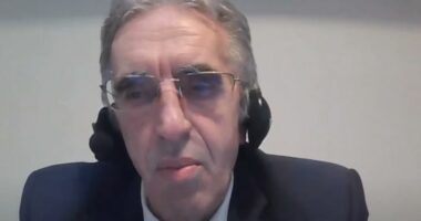 “Vuçiç mund të mungojë në Satimin e Berlinit në Tiranë”, analisti: Nuk janë kushtet për të pasur zgjedhje në veri