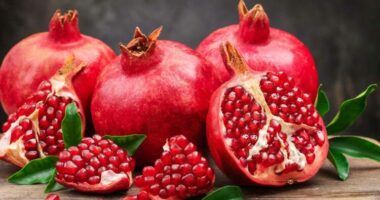 Njihuni me disa nga përfitimet shëndetësore të shegës