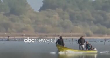 “Peshku bullgar shitet si krap Shkodre”, peshkatarët: Institucionet nuk kanë marrë asnjë masë