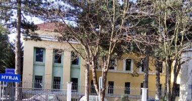 Emri/ E rëndë në Korçë: Bie nga arra, gjen vdekjen 64-vjeçari