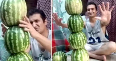 Profesori iranian grumbulloi katër shalqinj për të thyer rekordin botëror Guinness