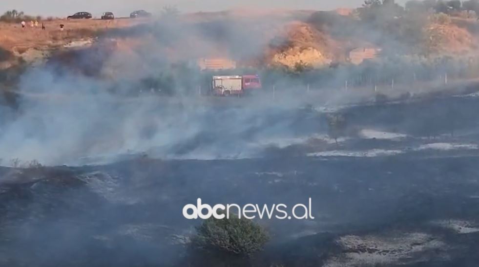 VIDEO/ Zjarri përfshin kodrat me ullinj në Radostinë të Fierit, zjarrfikset dhe banorët në ‘luftë’ me flakët