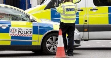 Britani, dy policë shpallen fajtorë për sjellje të pahijshme gjatë ndalimit të atletëve me ngjyrë