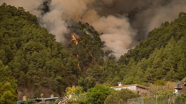 Rreth 3 000 të evakuuar nga zjarri pyjor në ishullin spanjoll Tenerife