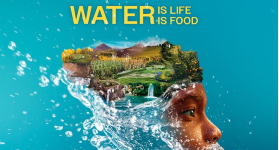 Sot shënohet Dita Botërore e Ushqimit dhe motoja e këtij viti ka në qendër ujin