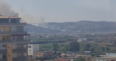 Zjarr në Fier, flakët rrezikojnë fermën me 200 krerë lopë