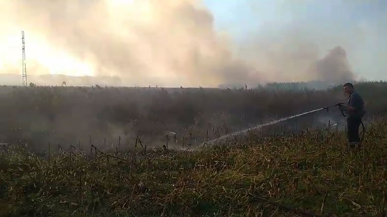 Përfshihet nga flakët një sipërfaqe toke në Krujë, zjarrfikësit ndërhyjnë për të shuar zjarrin