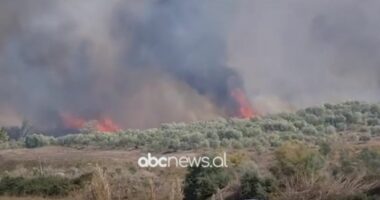 VIDEO/ Vatër zjarri në Lazarat, forcat zjarrfikëse në vendngjarje