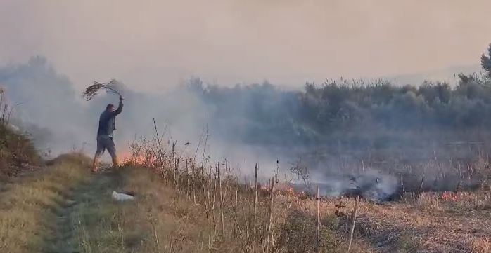 VIDEO/ Zjarr në Fier, përfshihet nga flakët toka me hamull