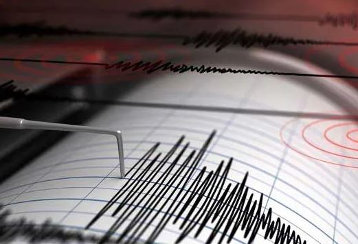 Tërmet i fuqishëm godet Indonezinë, sa ishte magnituda