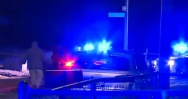 Tragjike n&euml; SHBA, 52 vje&ccedil;ari q&euml;llon p&euml;r vdekje 3 gra dhe nj&euml; 13-vje&ccedil;are