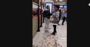 VIDEO/ Aktivistët në Angli lëshuan minj të lyer me ngjyrat e Palestinës në Mc Donald’s