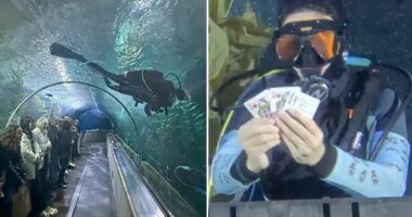 13-vjeçarja thyen rekordin botëror për truket magjike nënujore