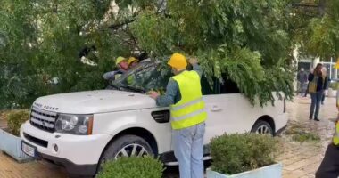 Moti i keq, probleme me energjinë në disa qytete në vend. OSSH: 71 fidera janë stakuar për të evidentuar dëmet në rrjet