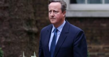 U zgjodh Sekretar i Jashtëm i Britanisë, Cameron: Do të fokusohem në mbështetjen e aleatëve dhe forcimin e partneriteteve