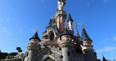 VIDEO/ Pronari i kompanisë dërgon të gjithë 1200 punonjësit dhe familjet e tyre në Disneyland