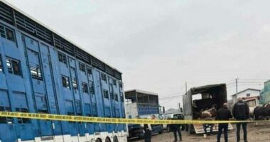 Shpërthim me granatë dore në një treg në Prizren, raportohet për 9 të plagosur