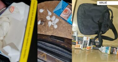 Krujë/ Siguronin lëndë narkotike dhe pasi e ndanin në doza e shisnin pranë një shkolle, dy të arrestuar dhe një i proceduar