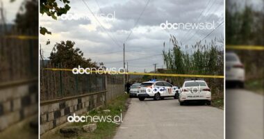 VIDEO/ Konflikti për pronën, shkak i sherrit me një të vrarë e një të plagosur në Kamëz