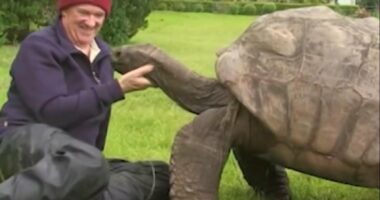 Breshka më e vjetër në botë feston ditëlindjen e 191-të