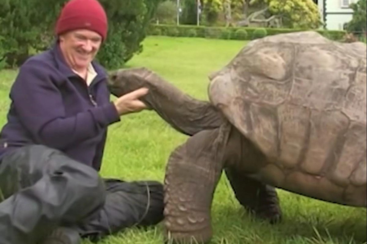 Breshka më e vjetër në botë feston ditëlindjen e 191-të