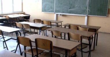 EMRI/ Ngacmoi seksualisht 4 nx&euml;n&euml;se t&euml; nj&euml; gjimnazi n&euml; Lushnje, vihet n&euml; pranga 37-vje&ccedil;ari