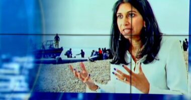 Suella që përbuzi shqiptarët, i quajti kriminelë dhe valë pushtuese, deklaratat e saj nxitën protesta