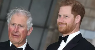 Dy arsyet që do të sjellin pajtimin e menjëhershëm të Princit Harry me Mbretin Karli III