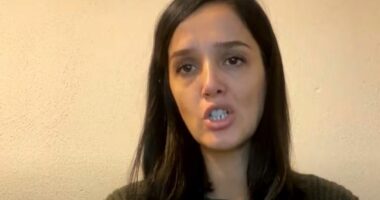 Arrestimi i aktivistëve të PSD/ Demolli: Do ta vazhdojmë protestën, Trendafilova nuk është e mirëpritur në Kosovë