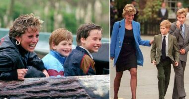 Dhurata e fundit që Harry mori nga nëna e tij, Princeshë Diana