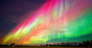 FOTO/ “Dritat e Veriut” dhurojnë spektakël në qiellin e Finlandës