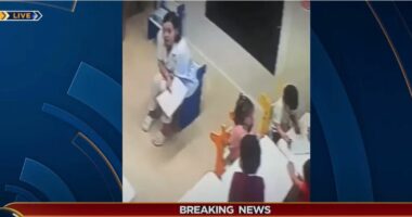 Dhunimi i 3-vjeçares në Tiranë, arrestohet edukatorja