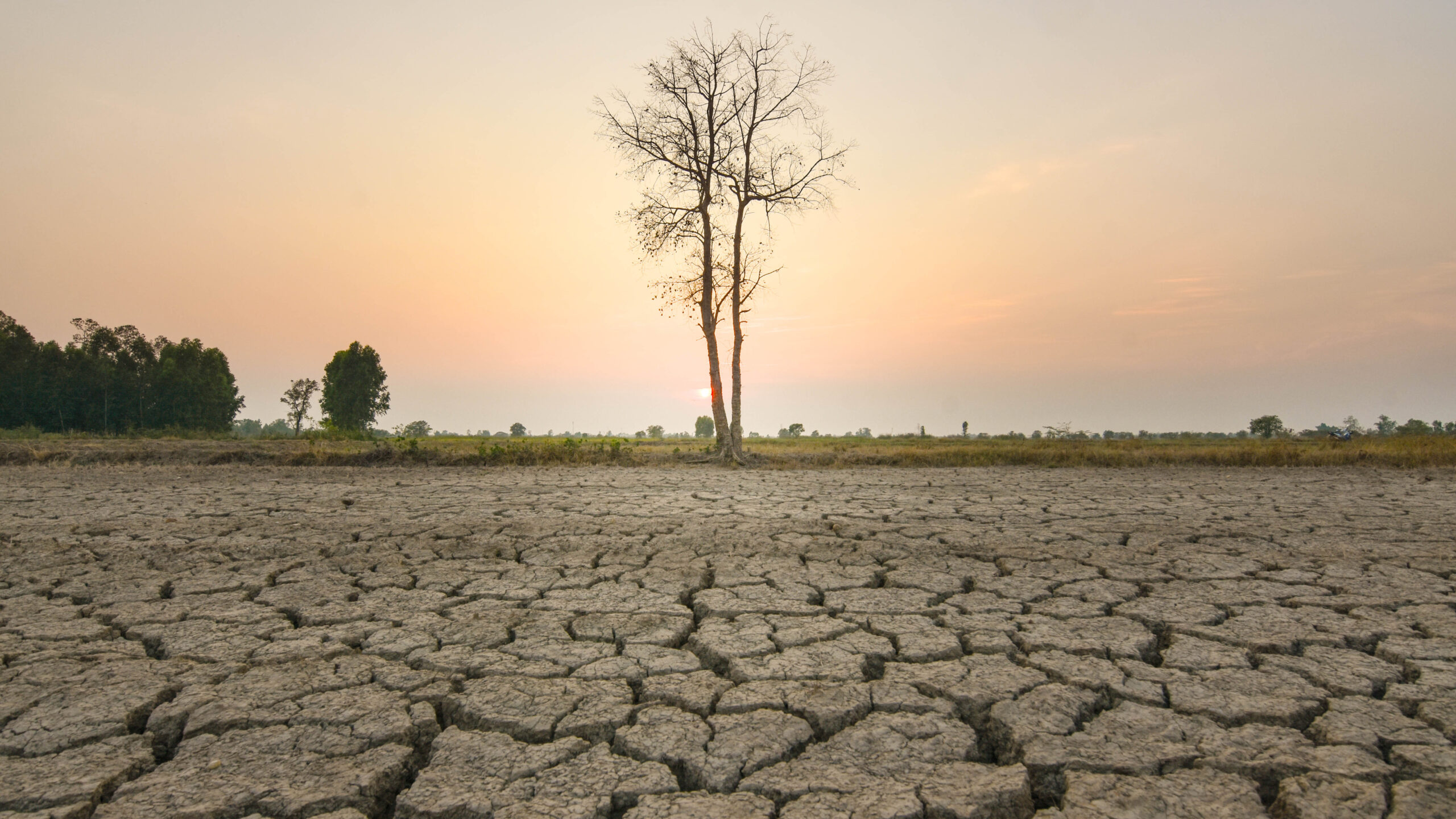 Fenomeni El Niño do të zgjasë deri në pranverën e vitit 2024