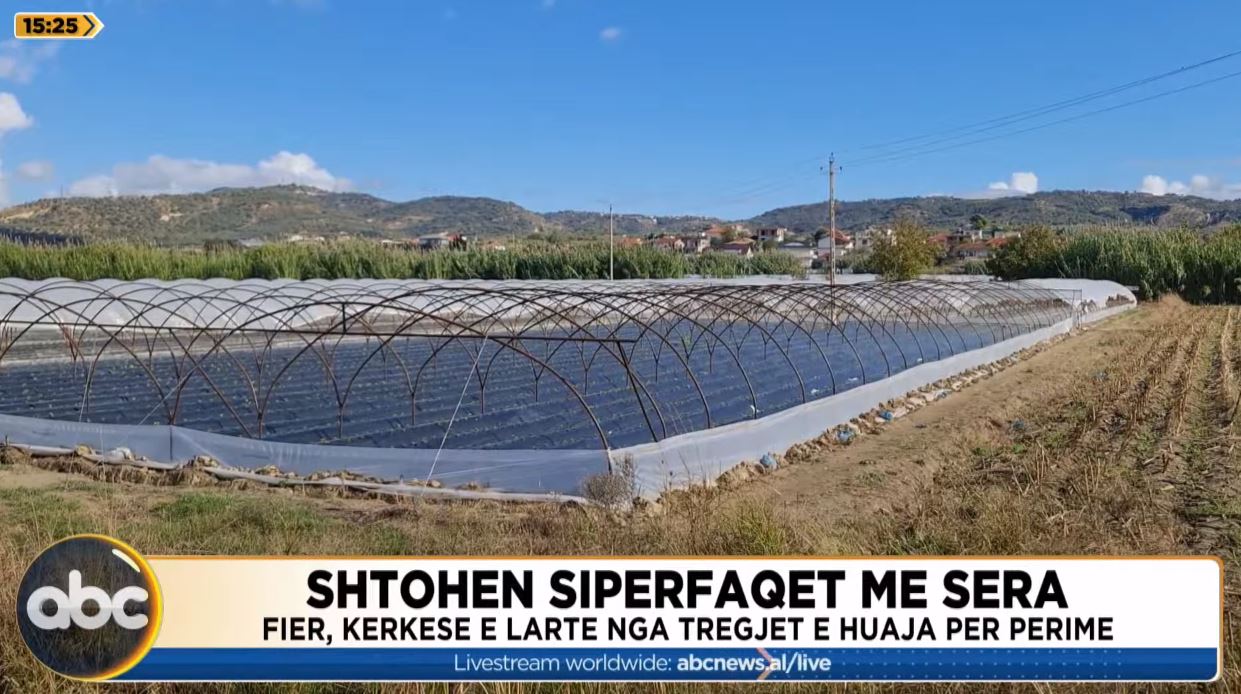 Shtohen sipërfaqet me sera/ Fier, kërkesë e lartë nga tregjet e huaja për perime