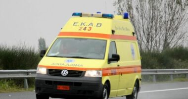 Tentoi të shpëtonte qenin në rrugë, 55-vjeçari në Greqi përplaset për vdekje nga autobusi