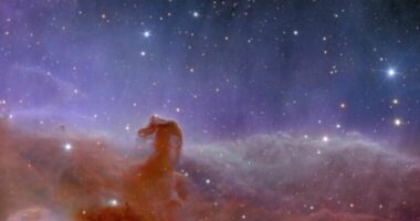 FOTO/ Teleskopi hapësinor evropian Euklid publikoi imazhet e para të universit