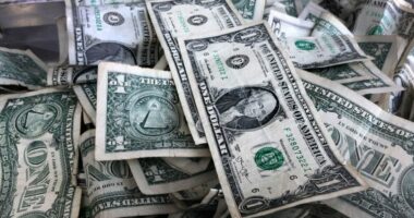 Beteja e vështirë kundër evazionit fiskal