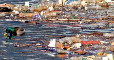 Gjykata e New York padit PepsiCo për ndotje plastike