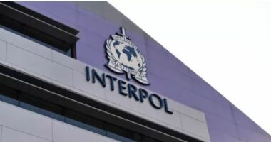 Vjedhje dhe emgrim i kundërligjshëm/ Ekstradohen nga Italia dhe Gjermania dy të rinj