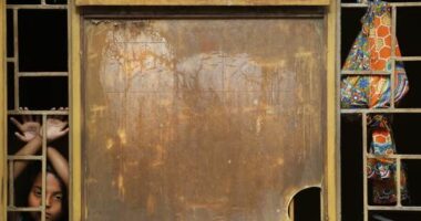 OBSH: Vetmia “shqetësim global” për shëndetin publik