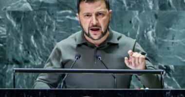 Zelensky: Kryengritja e Maidan ishte fitorja e par&euml; kund&euml;r Rusis&euml;