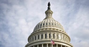 SHBA/ Demokratët do të humbin 12 vende në Kongresin amerikan