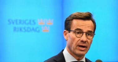 Kryeministri suedez dënon thirrjet e ekstremit të djathtë për shkatërrimin e disa xhamive