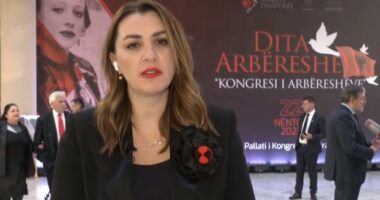 Samiti i Diasporës/ Zv. ministrja zbulon detajet: I ndarë në katër panele dhe me dyer të hapura