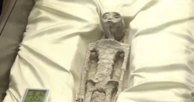 VIDEO/ “Mumjet aliene në Meksikë”, shkencëtarët këmbëngulin se janë të vërteta