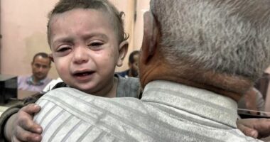 Bilanc tragjik në Gaza/ Mbi 10 mijë të vrarë, mes tyre 4 mijë fëmijë