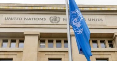 OKB mban një minutë heshtje për 101 punonjësit e vrarë në Gaza